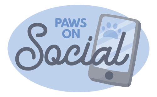 Paws On Social