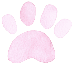 pink paw print